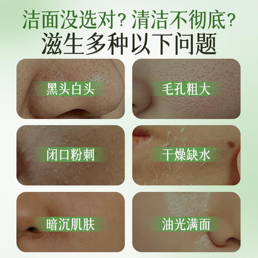 【梵西新品 119元任选3件】梵西叶绿素氨基酸细嫩洁面乳洁颜绿泥洗面奶收缩控油深层清洁毛孔 100g/支 商品图1
