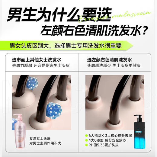 左颜右色 清肌洗发水 400g 商品图2