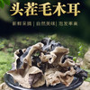 梅州蕉岭长寿乡｜梧桐树段木种植白背木耳 黑木耳 生态种植 日晒干爽 大朵 肉厚口感脆 商品缩略图0