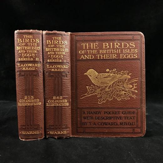 1921年 不列颠群岛鸟类与鸟卵图鉴（全2卷） 455幅彩色插图与大量黑白插图 漆布精装64开 商品图0