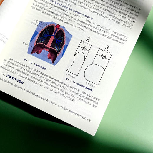 言语与嗓音医学 特殊教育专业教育康复学课程教材 言语病理 商品图10