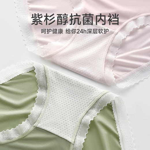 【4条装】 芬腾凉感蕾丝女士内裤 A-4547 商品图4