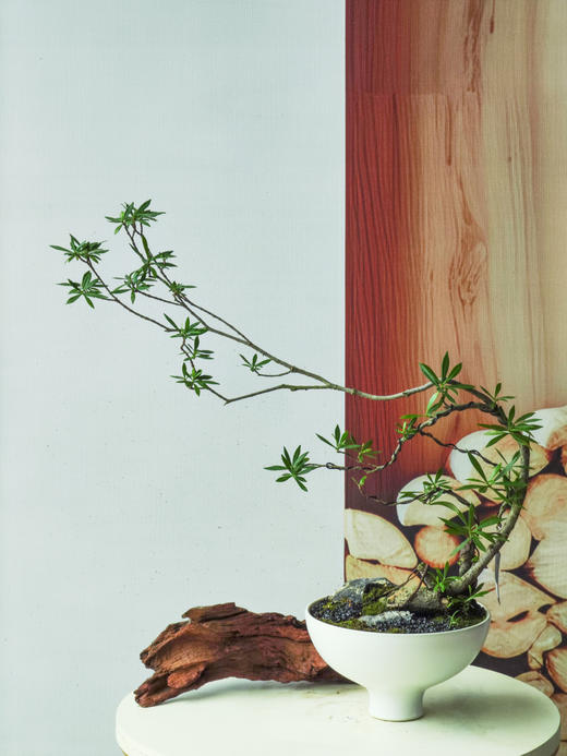 造型栀子花 商品图0