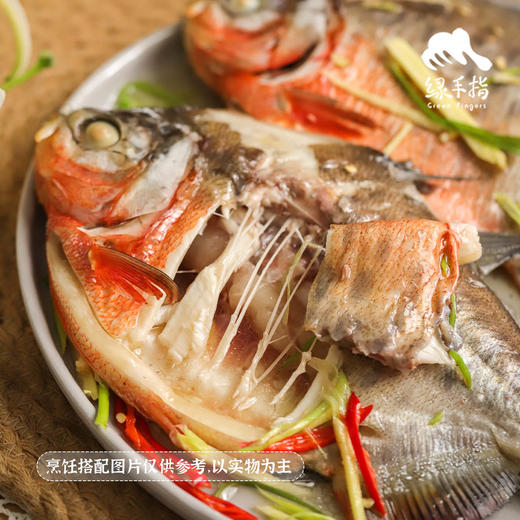 生态鲳鱼 （冷鲜，仅限省内下单）| 绿家自产 * Ecological pomfret | Self-production 商品图2