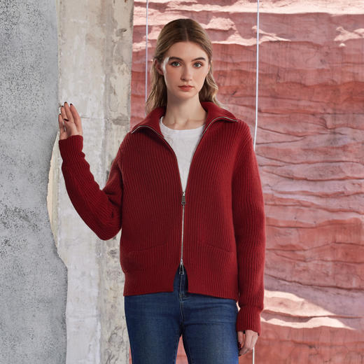 半身缘女装 秋季上衣高领毛衣衫外套时尚柔软舒适243213U01213263 商品图0