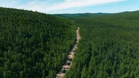  山河寻味 健康之旅丨去高山 深林 看食材最真的样子 