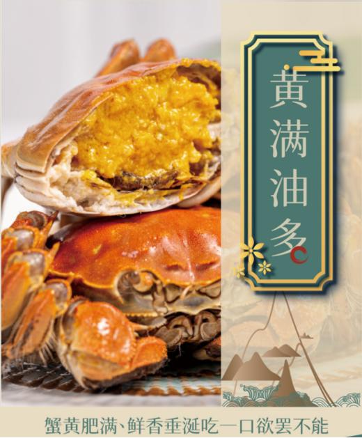 😏【蟹甲子阳澄湖大闸蟹蟹卡】食神甄选【蟹甲子】阳澄湖大闸蟹👏 “蟹中豪门”，个个膏肥黄满流油~😋 【食神——戴龙 倾情代言】💥 “喜欢美食的我，怎能错过呢” 商品图2