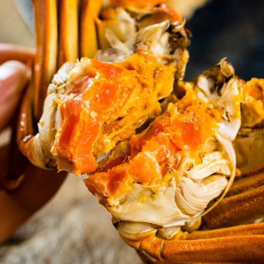 😏【蟹甲子阳澄湖大闸蟹蟹卡】食神甄选【蟹甲子】阳澄湖大闸蟹👏 “蟹中豪门”，个个膏肥黄满流油~😋 【食神——戴龙 倾情代言】💥 “喜欢美食的我，怎能错过呢” 商品图3