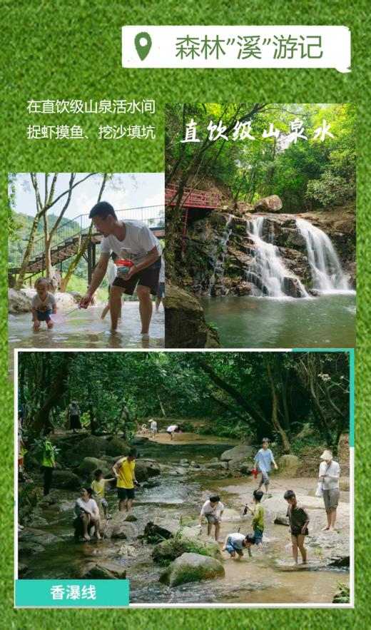 国庆| 芳香王国“溪”游记，私密人少的山涧溪谷 商品图2