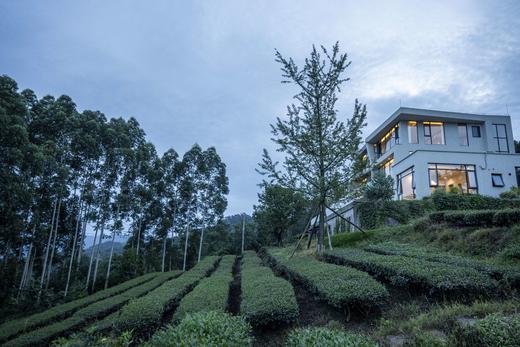 【眉山丹棱-284号院】5房/6房小院，可单房预定，群山环绕，俯瞰山谷，避暑，茶园采茶，K歌、、地暖、草坪、徒步，亲子。wngl 商品图9