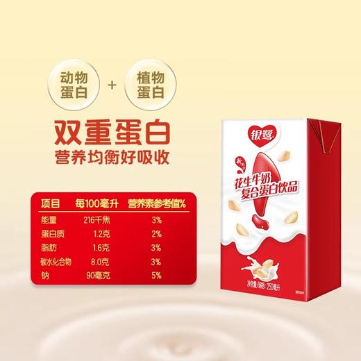 银鹭花生牛奶 250ml*12/提 （保质期到2024年11月16日） 商品图1