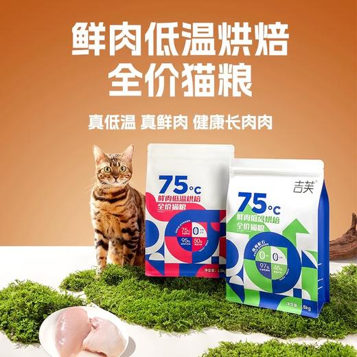 吉芙猫干粮烘培粮 商品图4