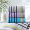 金号纯棉彩条毛巾LH1342 商品缩略图1
