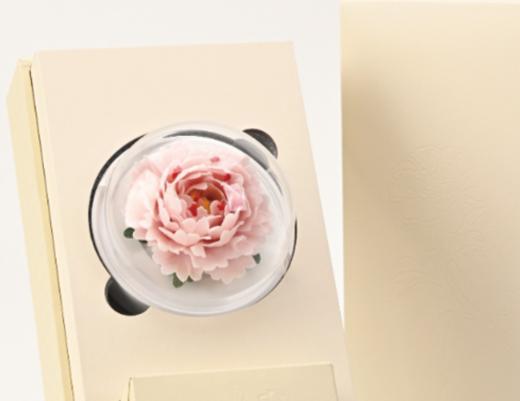 芍药扩香器 商品图0