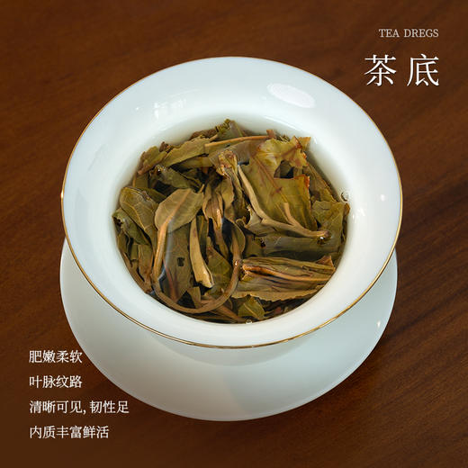 懂茶帝普洱生茶2023年冰岛地界森林野韵小沱茶 商品图3