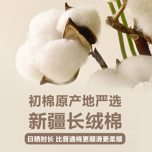 金号素雅无捻浴巾GD3009 商品图1