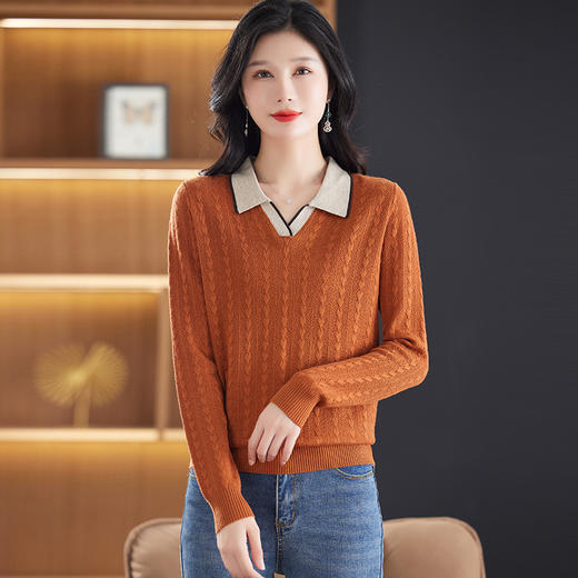 CC-28-A611长袖t恤女春秋气质polo领羊毛针织衫上衣薄款宽松打底衫 商品图1