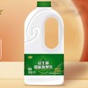 君乐宝1080g益生菌桶酸酸奶 商品缩略图0