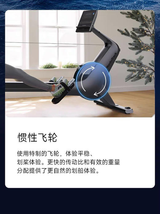 美国爱康划船机健身房家用静音磁控室内划艇有氧划船器旗舰RW300 商品图2