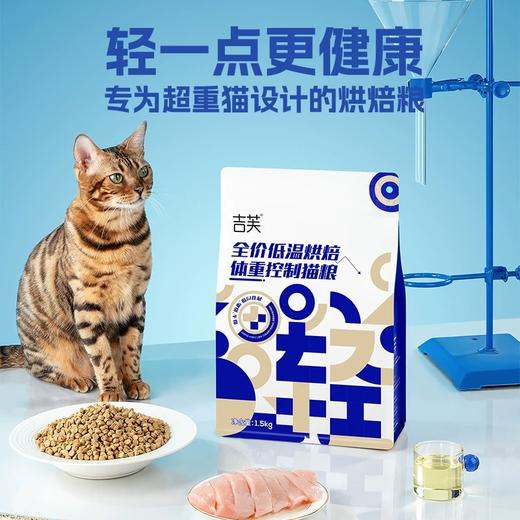 吉芙猫干粮烘培粮 商品图0