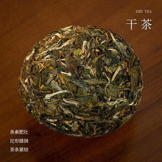 懂茶帝普洱生茶2023年冰岛地界森林野韵小沱茶 商品图1