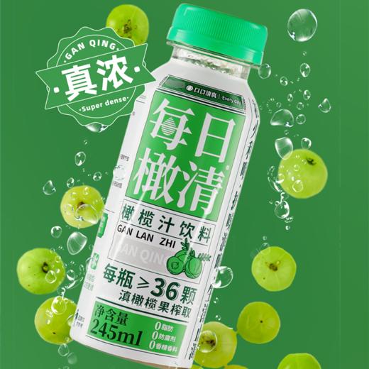 【9.8积分当钱花】每日橄清橄榄汁245ml*6瓶（限24年11月-12月） 商品图1