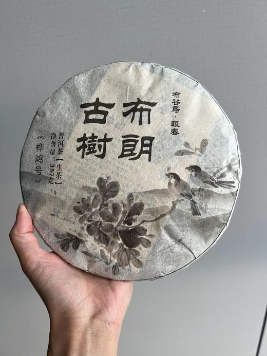 【最牛布朗】最牛的布朗！布谷鸟系列！2010年布朗古树春尖！班章小鸟！布朗神作！拍7片发8片！ 商品图0