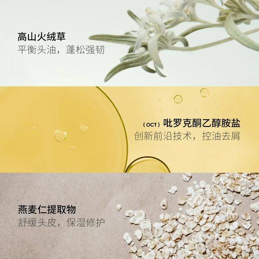 4楼Eubelle欧蓓 Reykas瑞嘉丝控油蓬松净澈洗发水300ml 强韧修护发膜 活动价：75-79元 商品图2