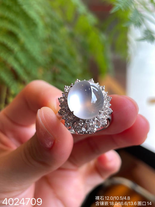 4024709，蛋面戒指。具体价格微信咨询 商品图1
