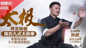 陈氏九式太极拳——养生秘籍【在线观看，无需发货】