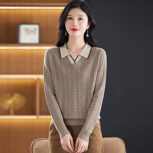 CC-28-A611长袖t恤女春秋气质polo领羊毛针织衫上衣薄款宽松打底衫 商品图2