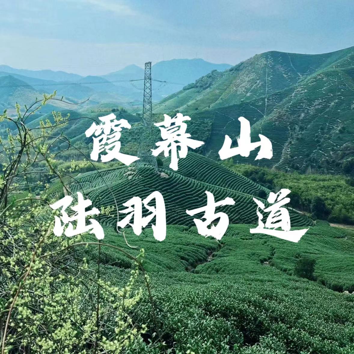 【亲子营】微度闲暇，徒步陆羽古道，登顶霞幕山，天目拾遗，俯瞰茶田翠叠