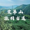 【亲子营】微度闲暇，徒步陆羽古道，登顶霞幕山，天目拾遗，俯瞰茶田翠叠 商品缩略图0