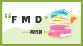 FMD—案例