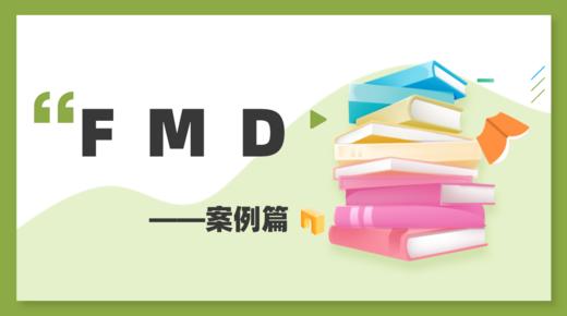 FMD—案例 商品图0