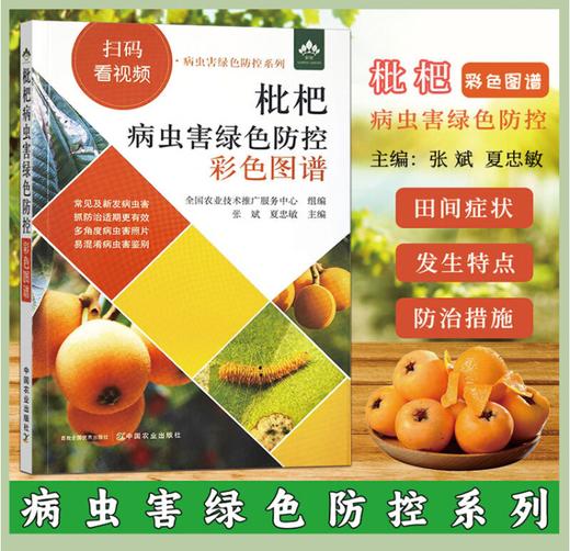 枇杷病虫害绿色防控彩色图谱 29440 张斌,夏忠敏 扫码看视频·病虫害绿色防控系列 枇杷栽培 枇杷种植 病虫害防治 商品图0