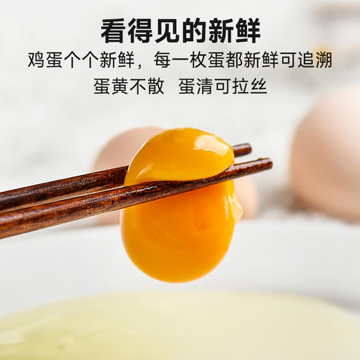拾爸家⠀比可生食鸡蛋更有保障有机富硒土鸡蛋无腥味无抗生素生态散养30枚整箱礼盒 商品图3