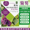 葡萄病虫害绿色防控彩色图谱（扫码看视频·病虫害绿色防控系列） 商品缩略图0