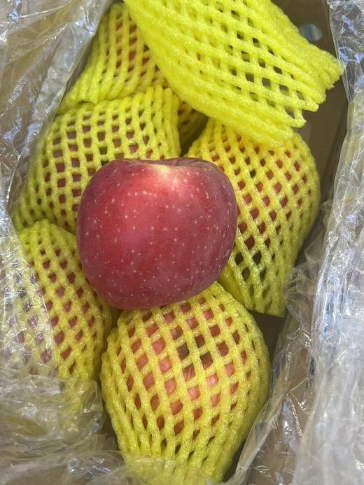 王掌柜洛川苹果（4斤箱） 商品图1