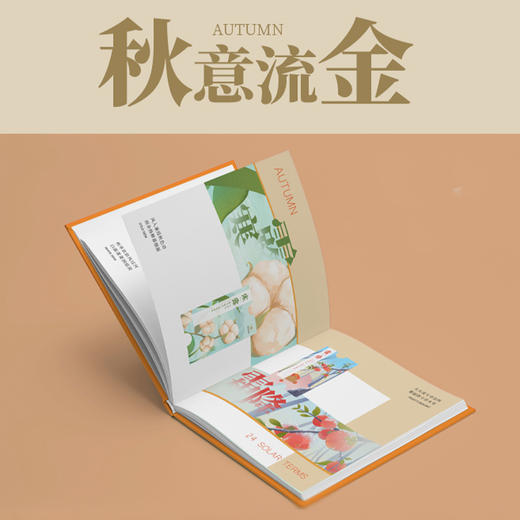 郑州地铁二十四节气主题纪念票卡套装/四时风物/共24张纪念票卡/精装卡册/收藏必选 商品图3