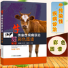 牛传染性疾病诊治彩色图谱 商品缩略图0