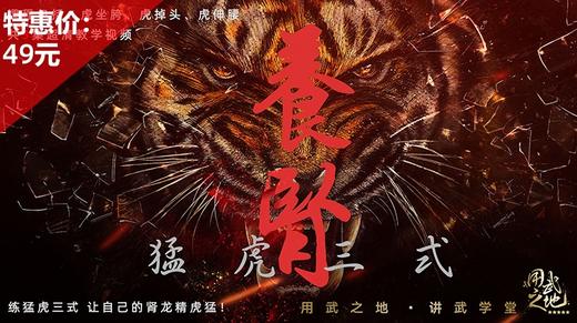 养肾猛虎三式【在线观看，无需发货】 商品图0