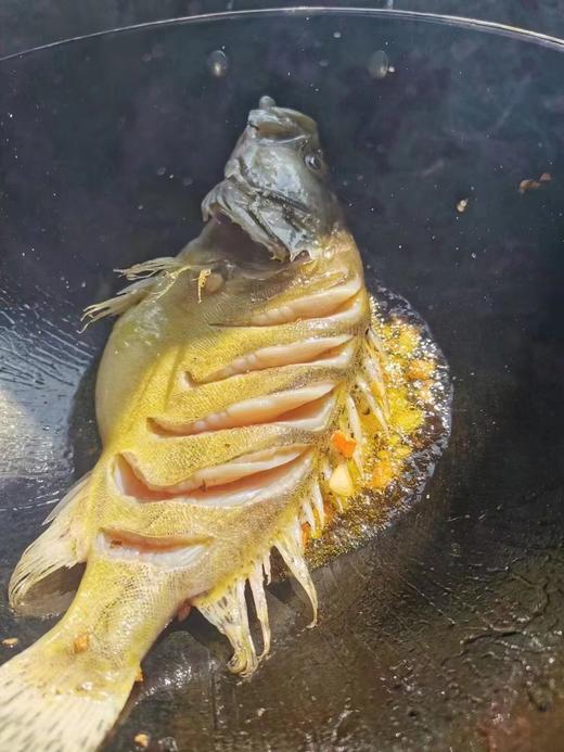 苗员外臭桂鱼～750克/条 商品图2