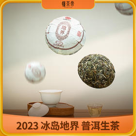 懂茶帝普洱生茶2023年冰岛地界森林野韵小沱茶