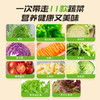 一号农场开袋即食饱腹代餐混合蔬菜沙拉轻食健身量贩 商品缩略图1