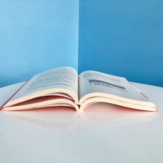 21招，让孩子独立 叶壮 著 商品图2