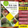 荔枝龙眼病虫害绿色防控彩色图谱 【园艺学会】 商品缩略图0