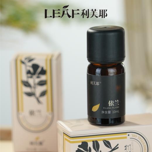 LEAF·利芙耶 依兰单方精油10ml/瓶 商品图4