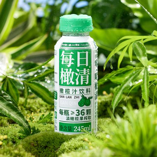 【9.8积分当钱花】每日橄清橄榄汁245ml*6瓶（限24年11月-12月） 商品图4