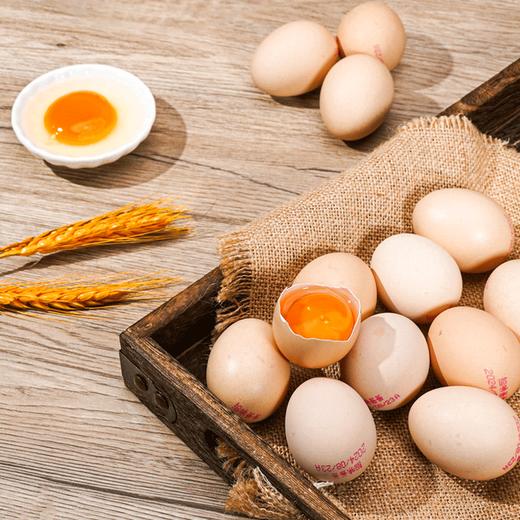 拾爸家⠀比可生食鸡蛋更有保障有机富硒土鸡蛋无腥味无抗生素生态散养30枚整箱礼盒 商品图1